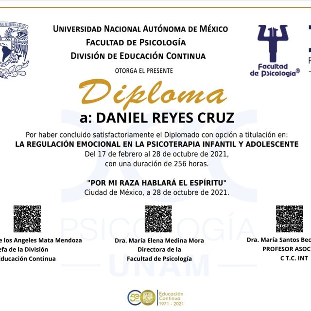Ampliar imagen: certificate 1