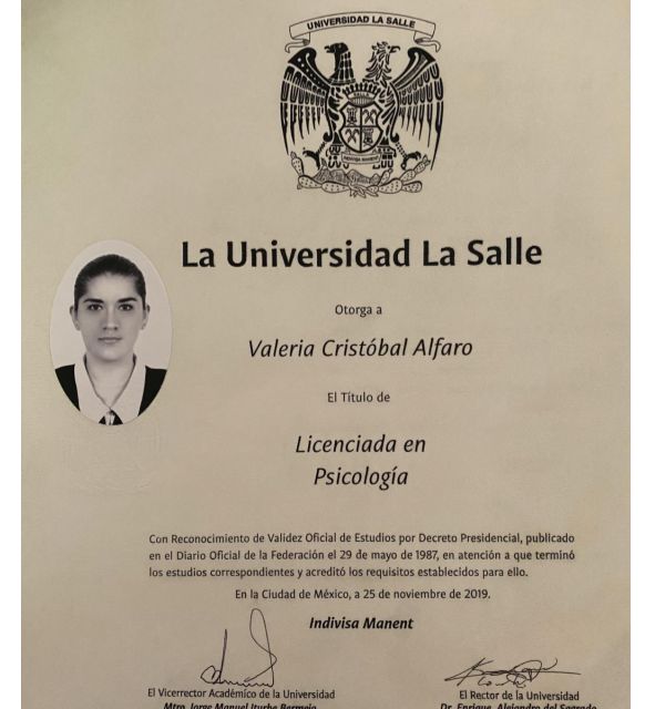 Ampliar imagen: certificate 2