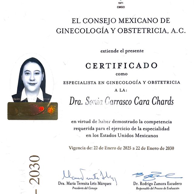 Ampliar imagen: certificate 1