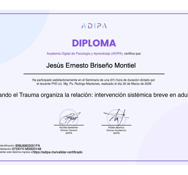 Ampliar imagen: certificate 11