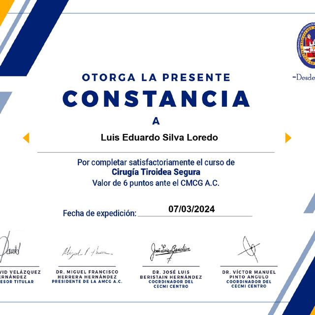 Ampliar imagen: certificate 12