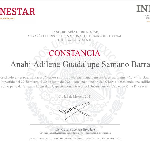 Ampliar imagen: certificate 4