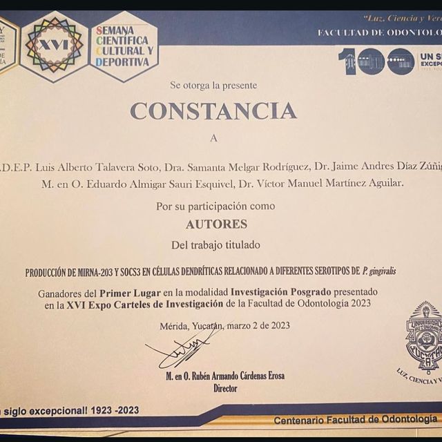 Ampliar imagen: certificate 2