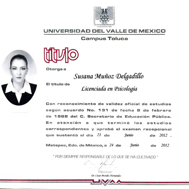 Ampliar imagen: certificate 3