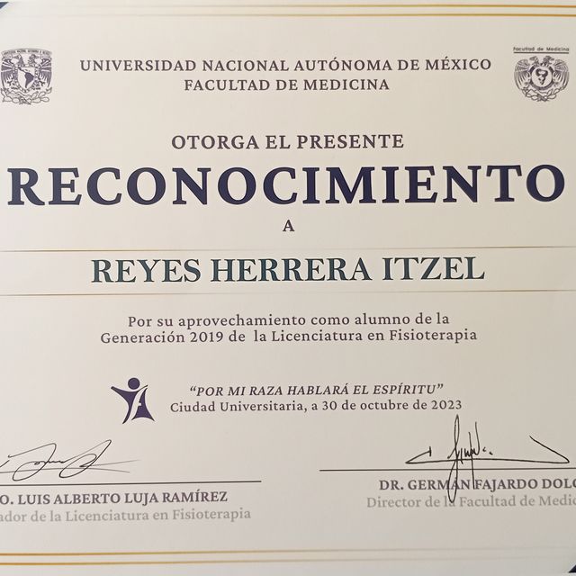 Ampliar imagen: certificate 7