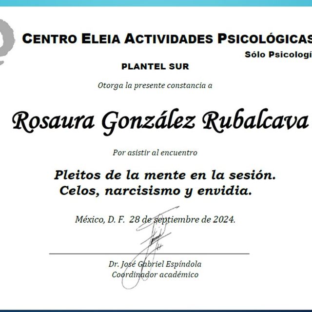Ampliar imagen: certificate 4