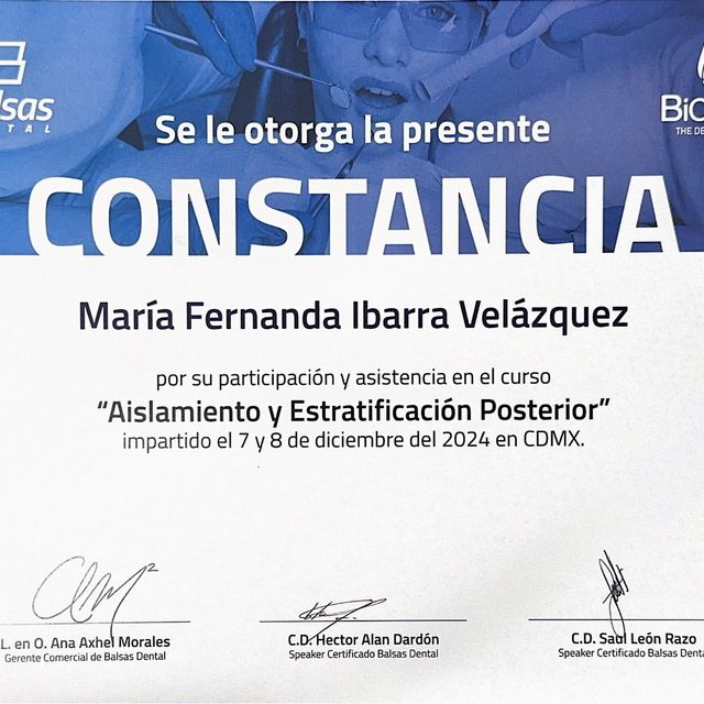 Ampliar imagen: certificate 2