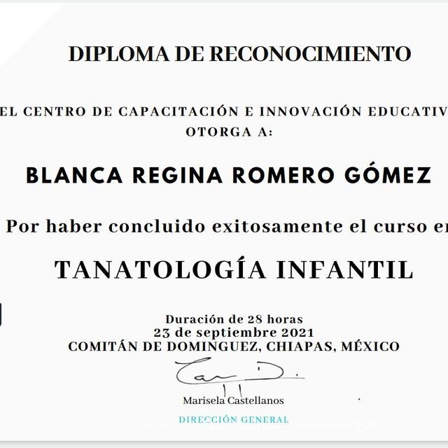 Ampliar imagen: certificate 4