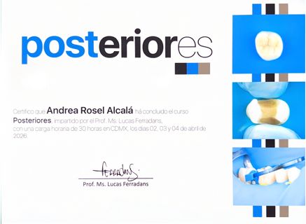 Ampliar imagen: certificate 16