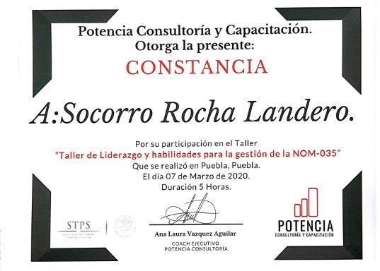Ampliar imagen: certificate 8