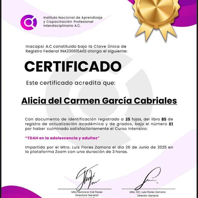 Ampliar imagen: certificate 2