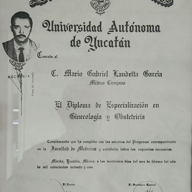 Ampliar imagen: certificate 2