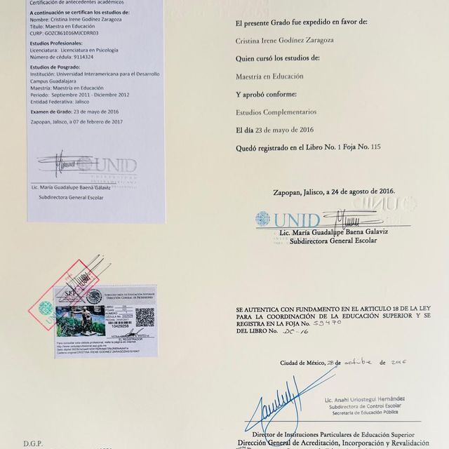 Ampliar imagen: certificate 4