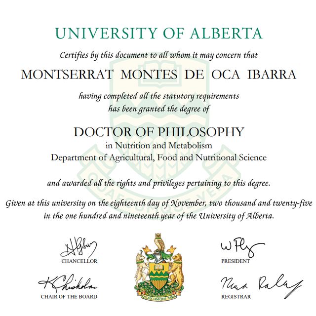 Ampliar imagen: certificate 1