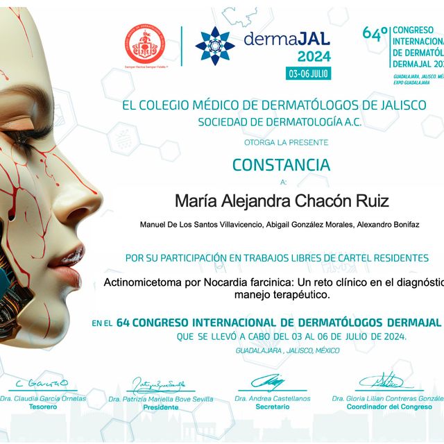 Ampliar imagen: certificate 4