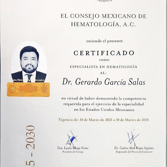 Ampliar imagen: certificate 2
