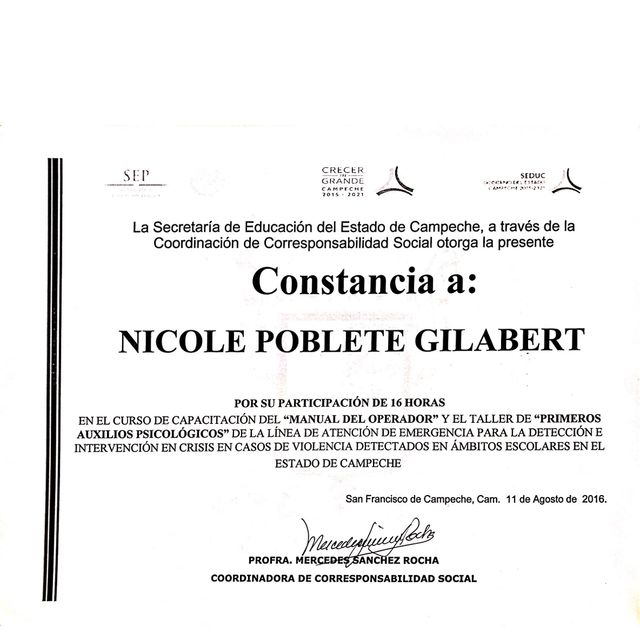 Ampliar imagen: certificate 7
