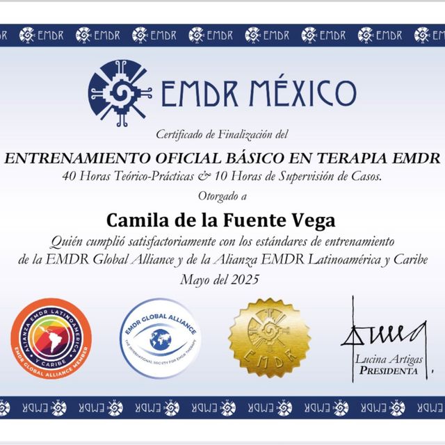 Ampliar imagen: certificate 2