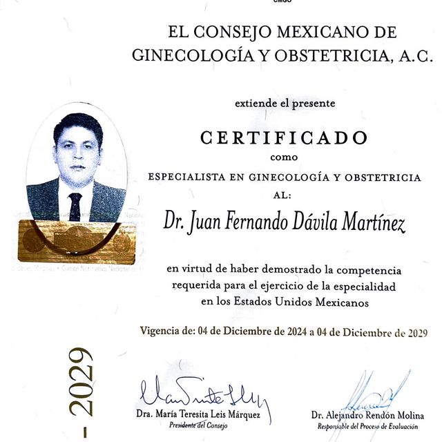 Ampliar imagen: certificate 2