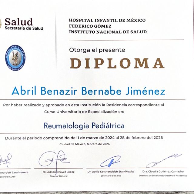 Ampliar imagen: certificate 3