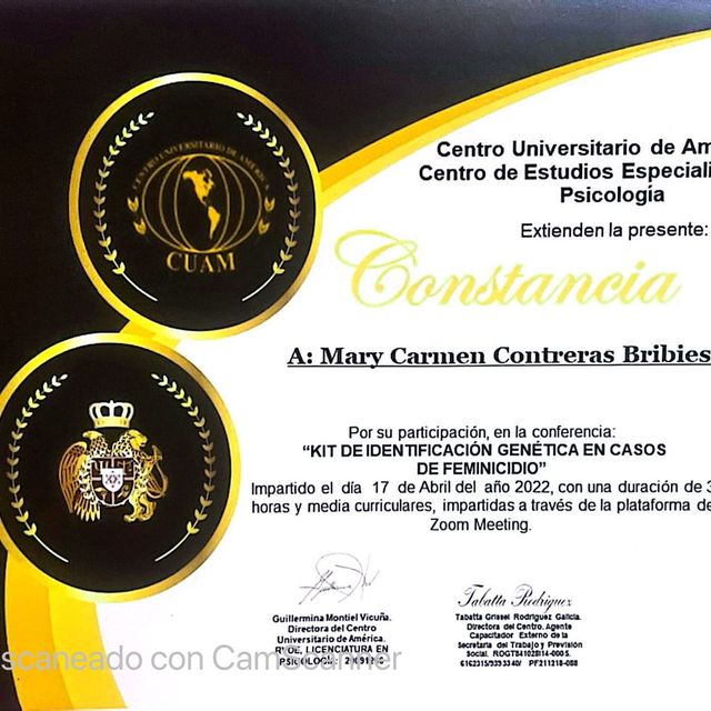 Ampliar imagen: certificate 7