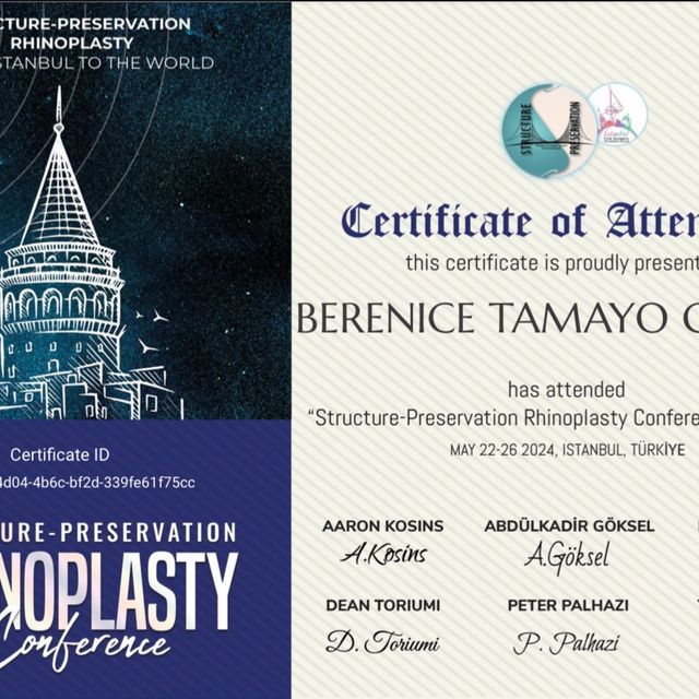 Ampliar imagen: certificate 4