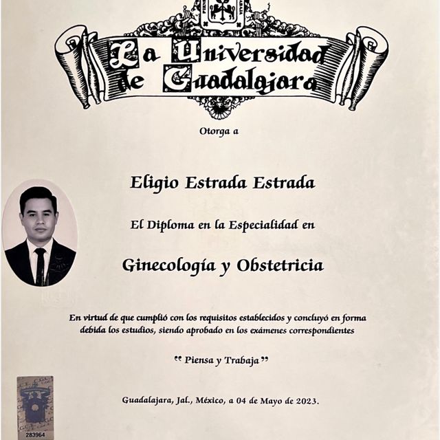 Ampliar imagen: certificate 1