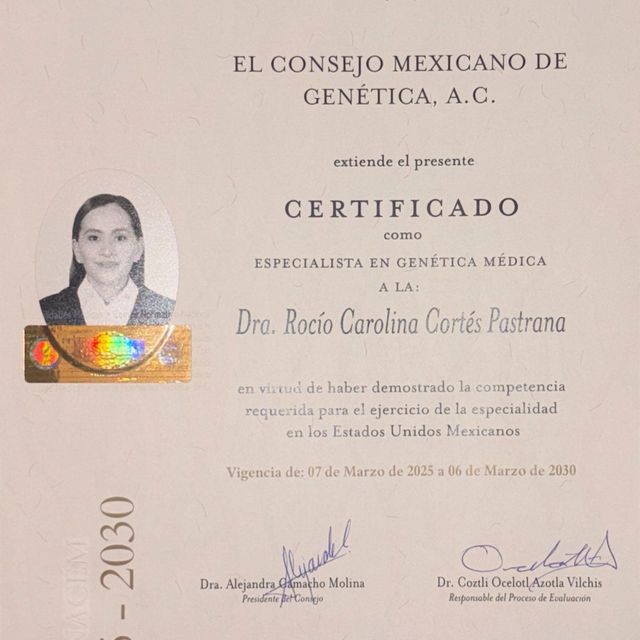 Ampliar imagen: certificate 1