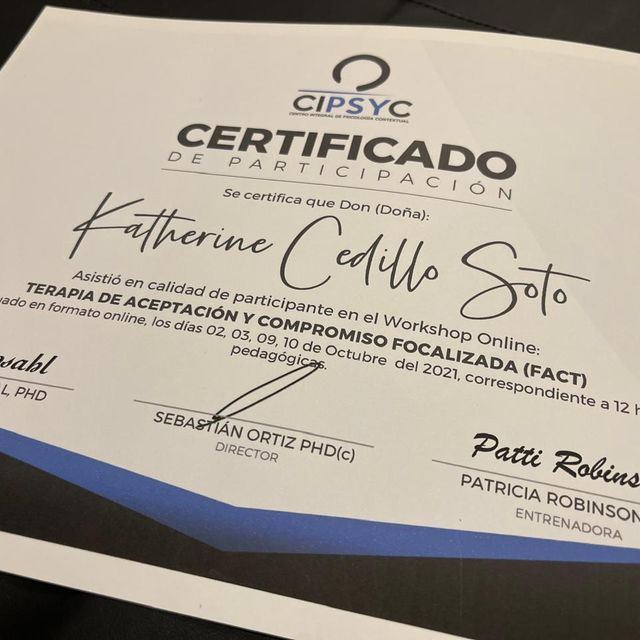 Ampliar imagen: certificate 15