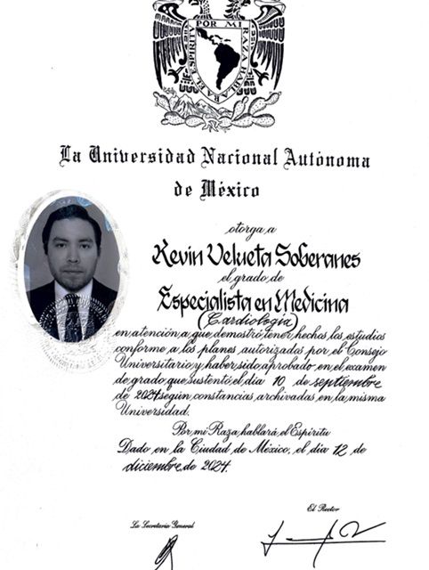 Ampliar imagen: certificate 1