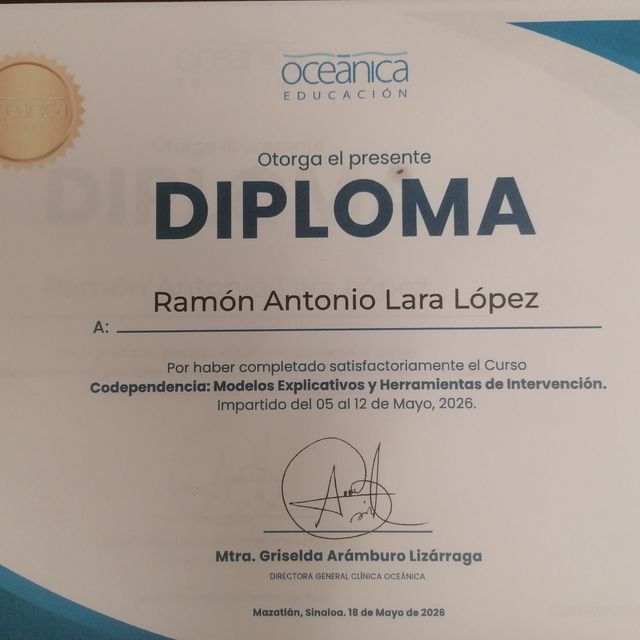 Ampliar imagen: certificate 4