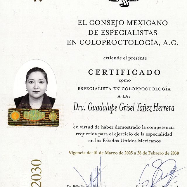Ampliar imagen: certificate 1