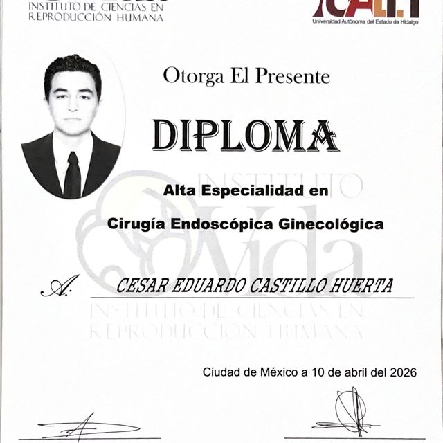 Ampliar imagen: certificate 3