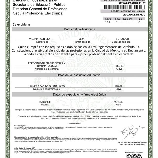 Ampliar imagen: certificate 5
