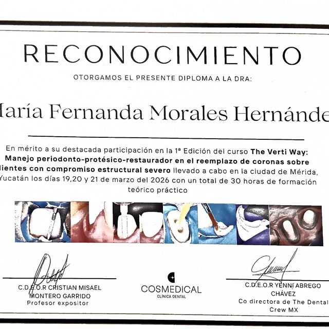 Ampliar imagen: certificate 6