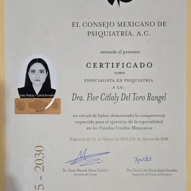 Ampliar imagen: certificate 2