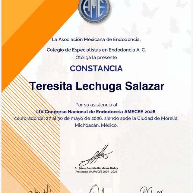 Ampliar imagen: certificate 4