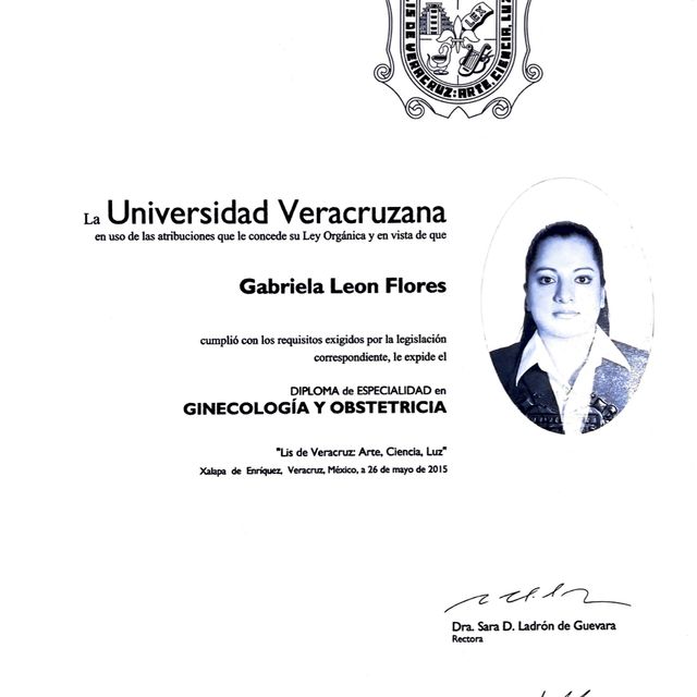 Ampliar imagen: certificate 4