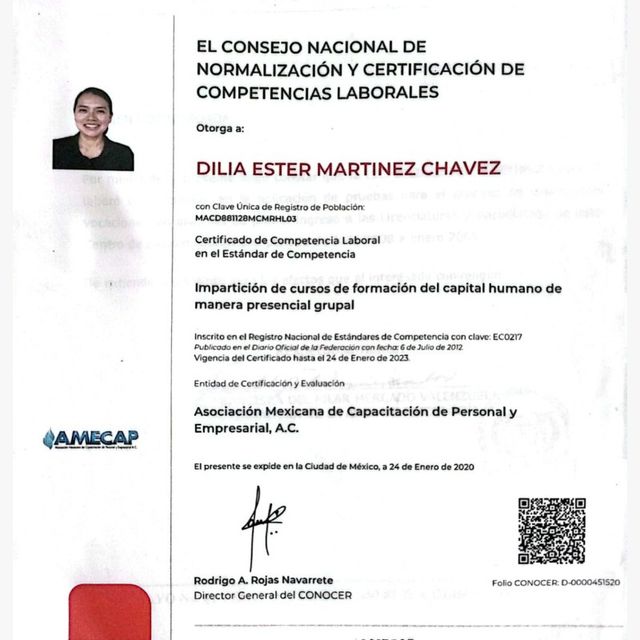Ampliar imagen: certificate 3