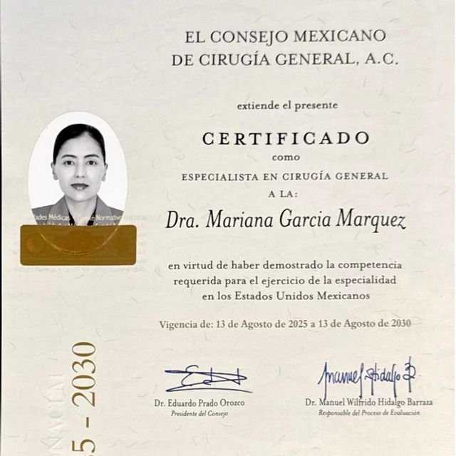 Ampliar imagen: certificate 1