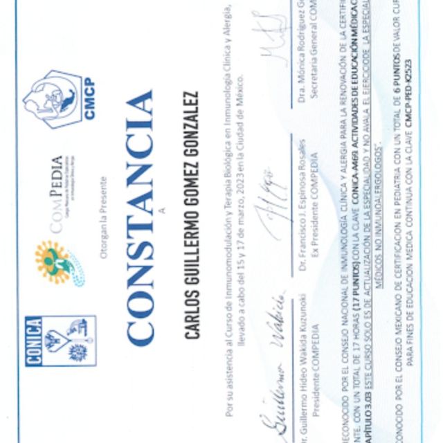 Ampliar imagen: certificate 31