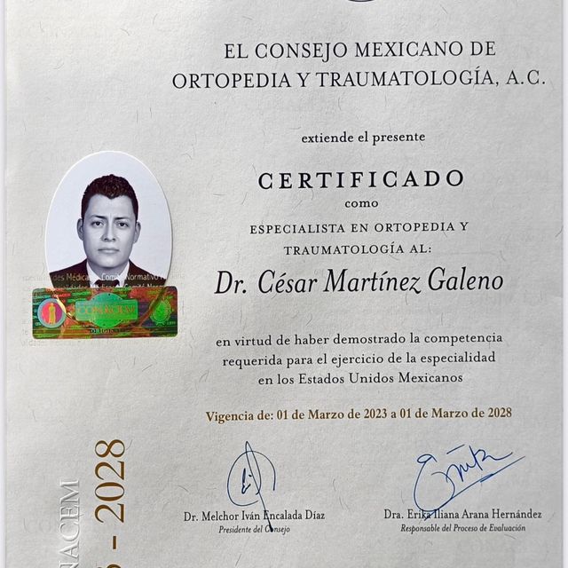 Ampliar imagen: certificate 3