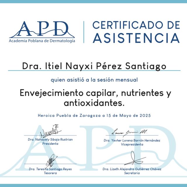 Ampliar imagen: certificate 4