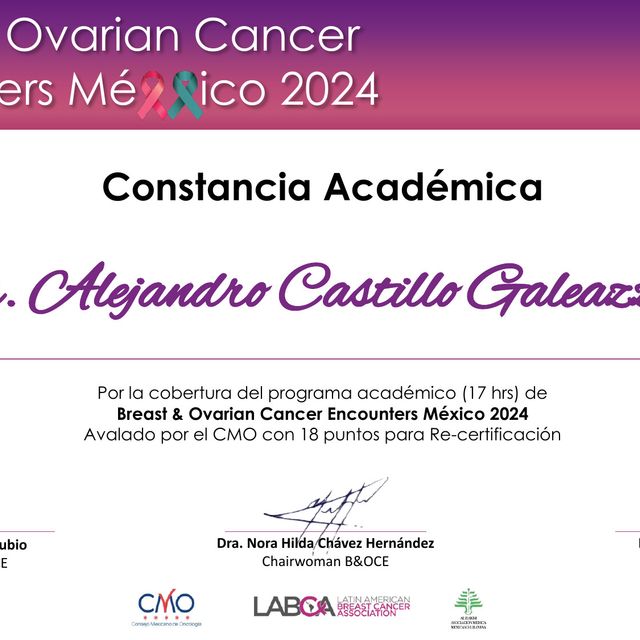 Ampliar imagen: certificate 14