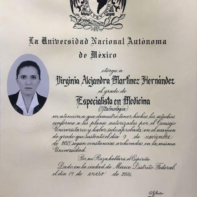 Ampliar imagen: certificate 2