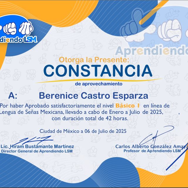 Ampliar imagen: certificate 9