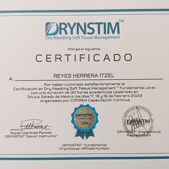 Ampliar imagen: certificate 5