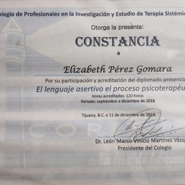 Ampliar imagen: certificate 10