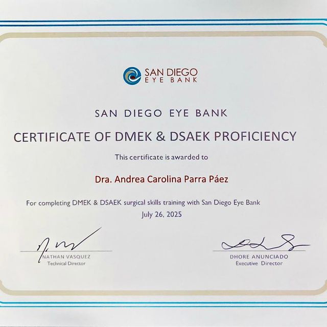 Ampliar imagen: certificate 3