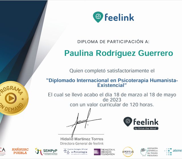 Ampliar imagen: certificate 3